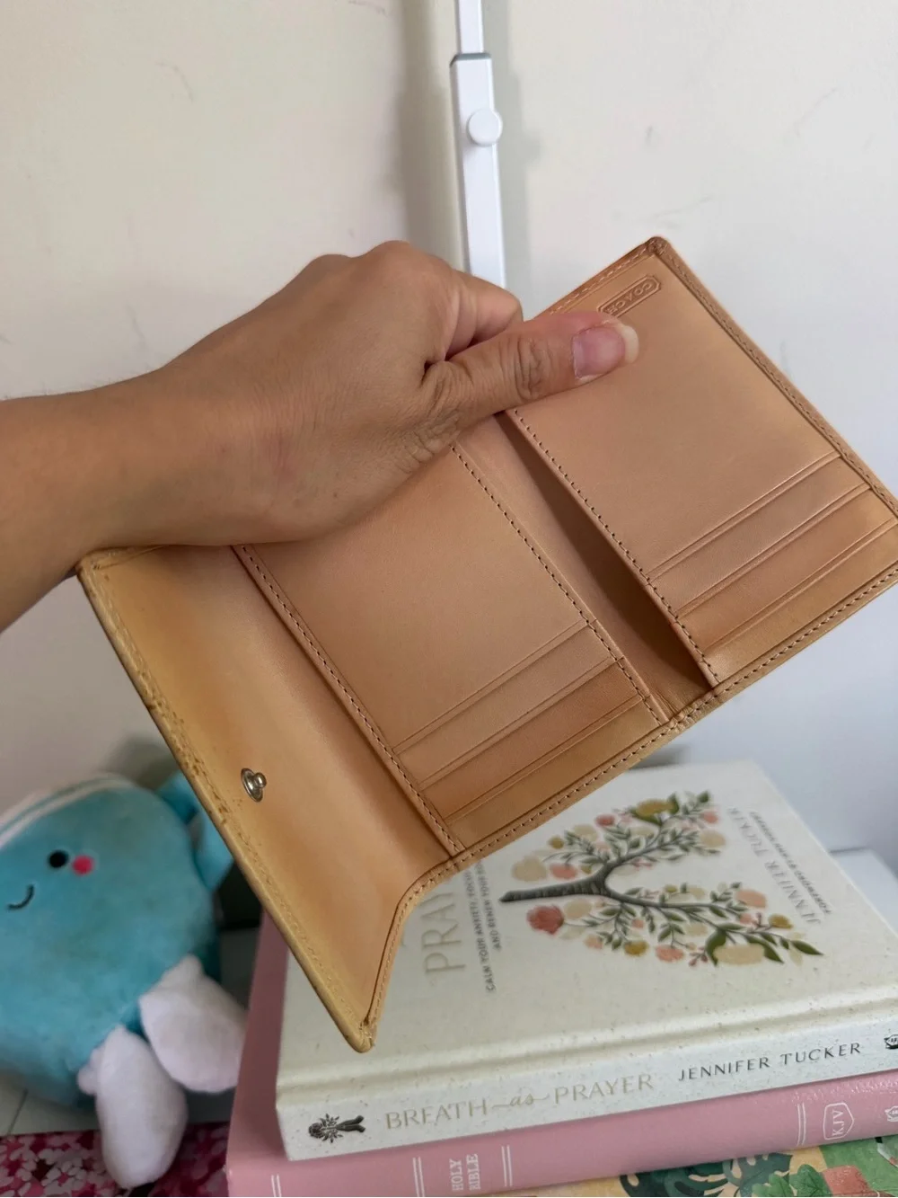 Coach compact card